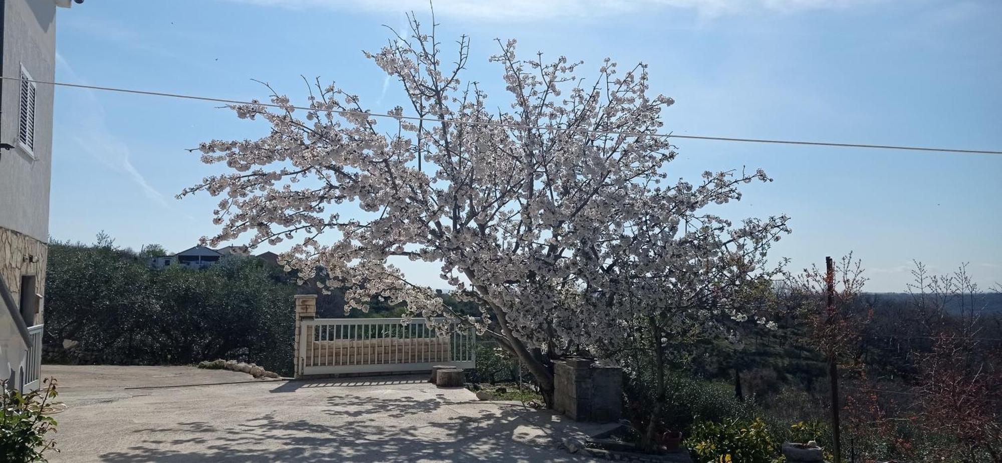 Apartman Tina Ražanac 外观 照片